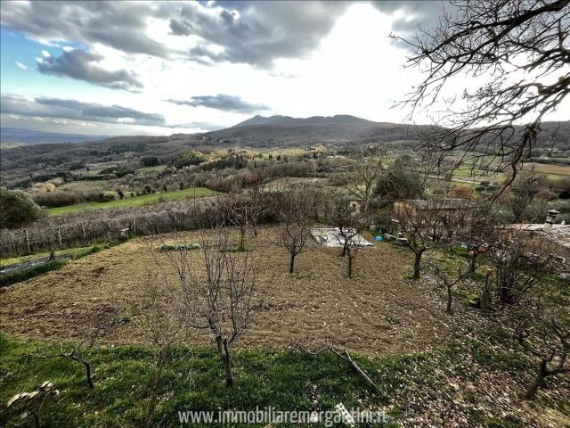 Terreno in vendita a Sarteano, Toscana