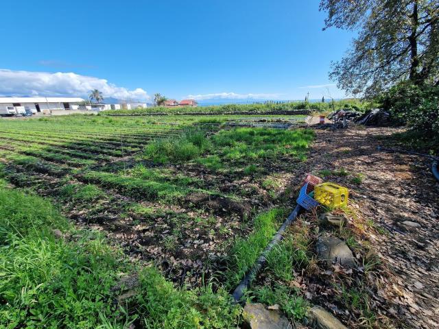 Terreno in vendita a Giarre, Sicilia