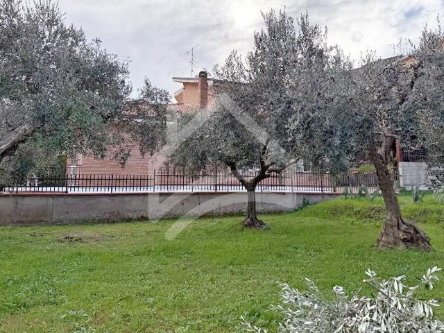 Terreno in vendita a Guglionesi, Molise