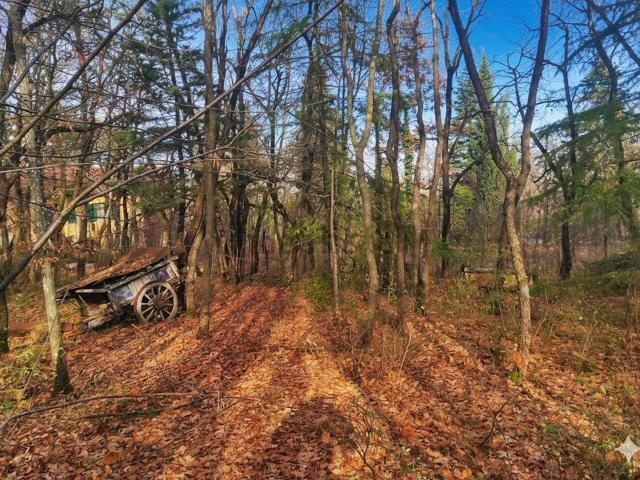 Terreno in vendita a Pozzo, Marche