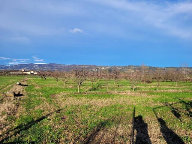 Terreno in vendita a Settimo, Pescantina