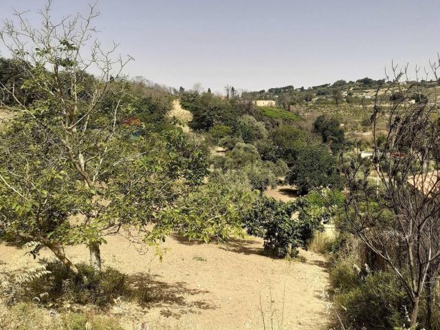 Terreno in vendita a Enna, Sicilia
