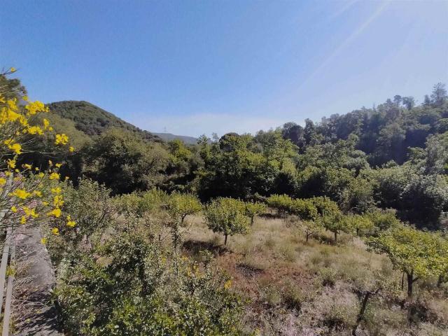 Terreno in vendita a Nicolosi, Sicilia