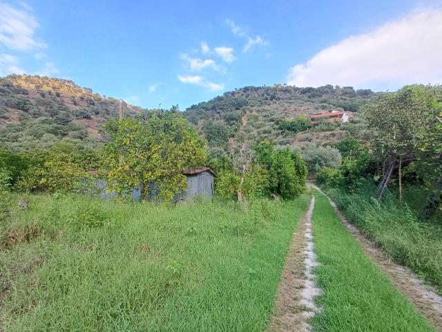 Terreno in vendita a Naso, Messina