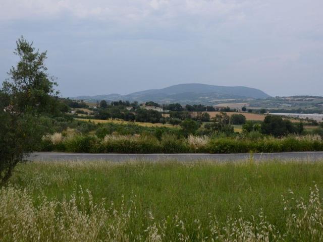 Terreno in vendita a Crocette, Marche