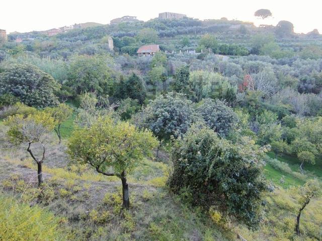 Terreno in vendita a Centineo, Barcellona Pozzo Di Gotto