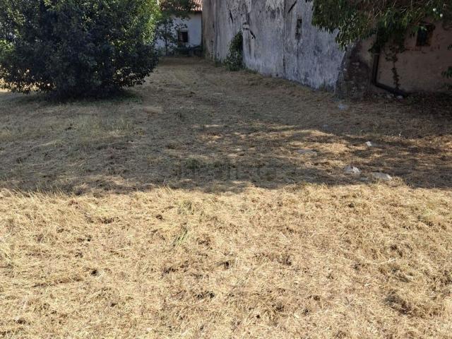 Terreno in vendita a Illasi, Veneto