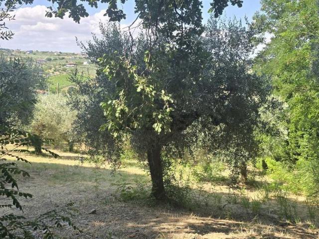 Terreno in vendita a Vasto, Abruzzo
