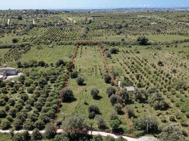 Terreno in vendita a Noto, Sicilia