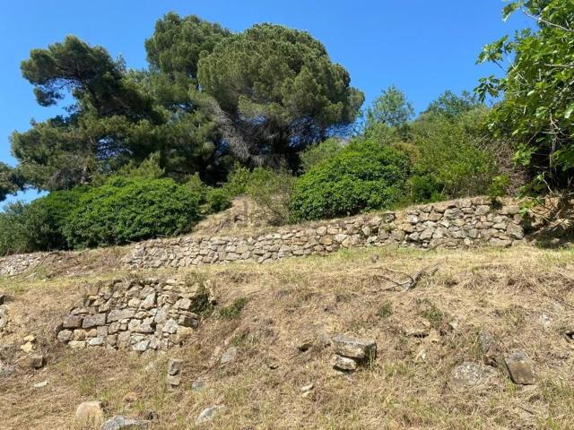 Terreno in vendita a Artallo, Imperia