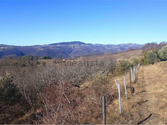 Terreno in vendita a Calavena, Tregnago
