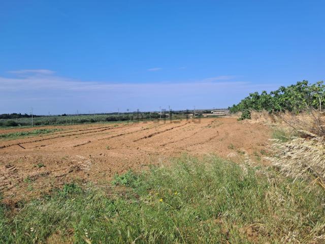 Terreno in vendita a Puglia, Brindisi