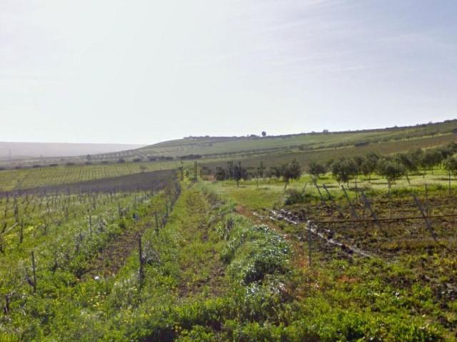 Terreno in vendita a Partanna, Sicilia