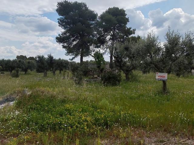 Terreno in vendita a Puglia, Taranto