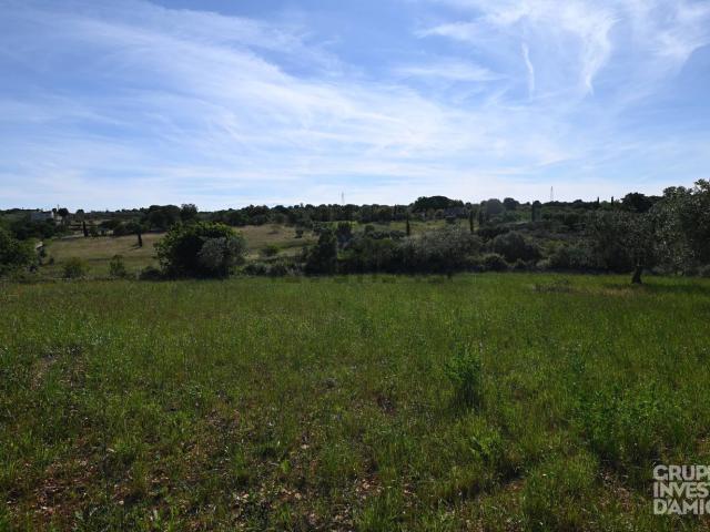 Terreno in vendita a Puglia, Brindisi