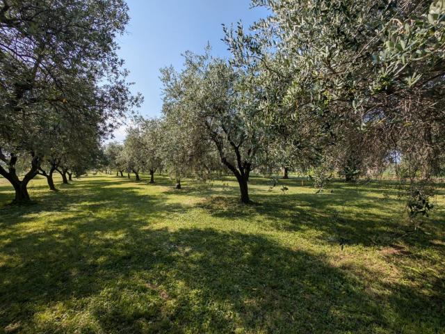 Terreno in vendita a Santa Croce, Bassano Del Grappa