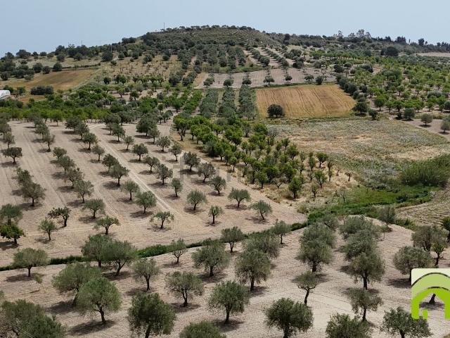 Terreno in vendita a Noto, Siracusa