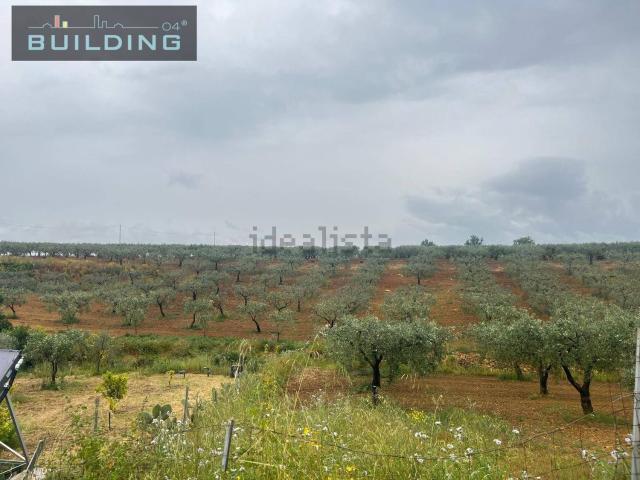 Terreno in vendita a Castelvetrano, Sicilia