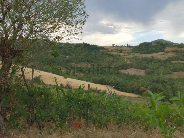 Terreno in vendita a Roncole di sopra, Travo