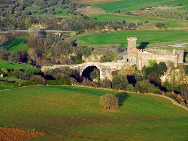Terreno in vendita a Canino, Lazio
