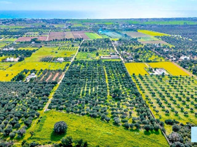 Terreno in vendita a Puglia, Taranto