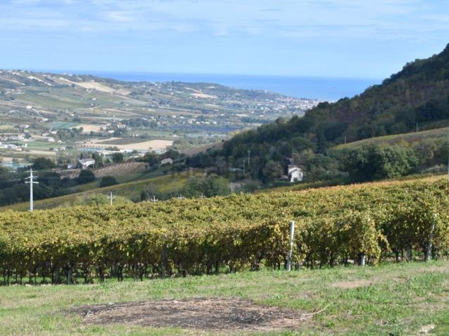 Terreno in vendita a San Giovanni, Marche