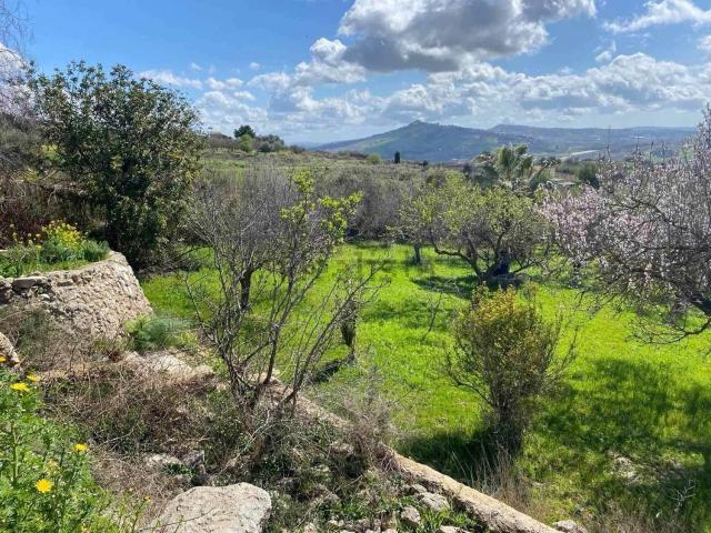 Terreno in vendita a Naro, Sicilia