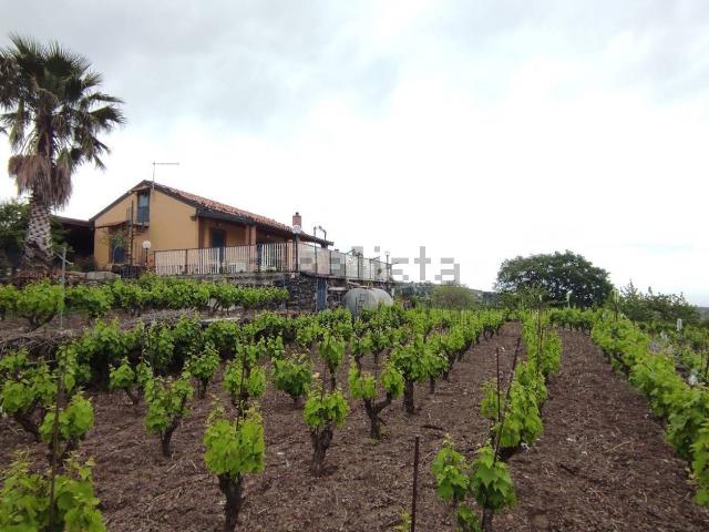 Terreno in vendita a Biancavilla, Sicilia