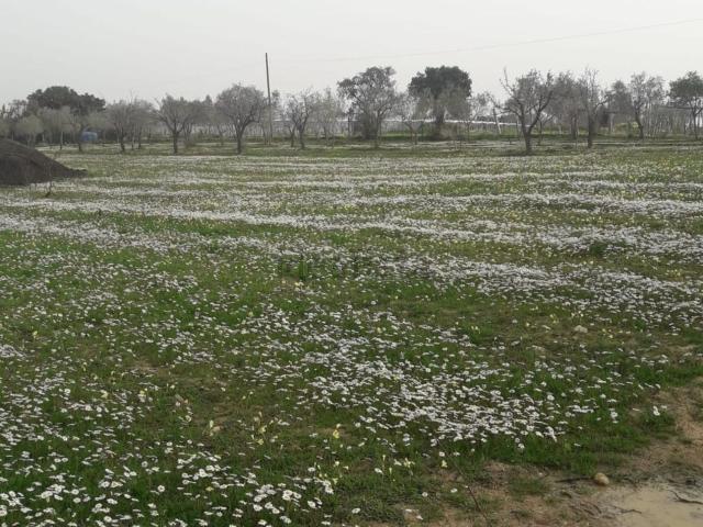 Terreno in vendita a Pula, Sardigna/Sardegna