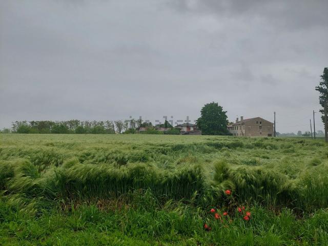 Terreno in vendita a Polverara, Veneto