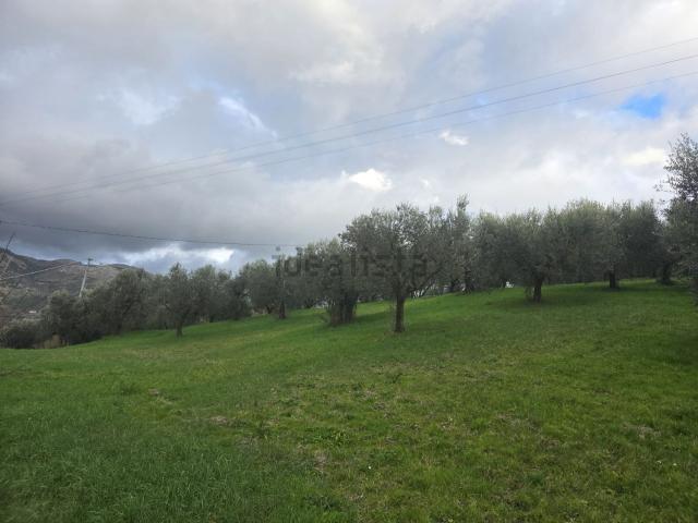 Terreno in vendita a San Filippo, Anagni