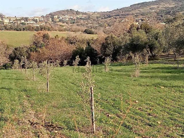 Terreno in vendita a Monte Romano, Lazio