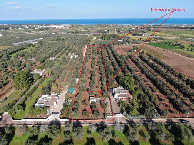 Terreno in vendita a Puglia, Brindisi