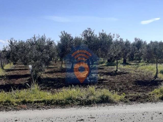 Terreno in vendita a Castelvetrano, Sicilia