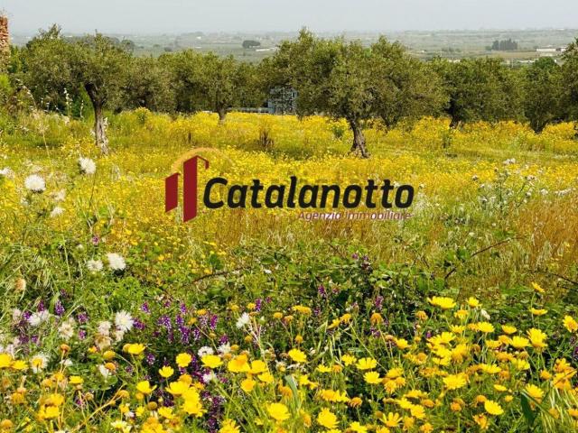 Terreno in vendita a Castelvetrano, Sicilia