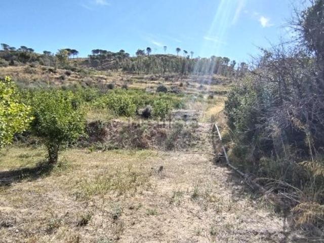 Terreno in vendita a Grammichele, Sicilia