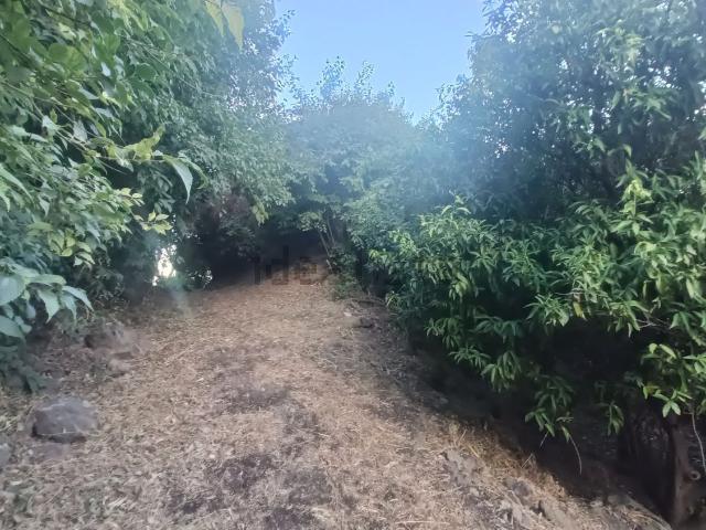Terreno in vendita a Piedimonte Etneo, Sicilia