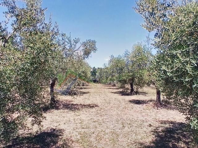 Terreno in vendita a Giulianova, Abruzzo