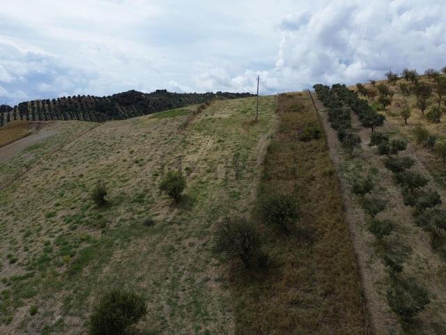 Terreno in vendita a Calabria, Catanzaro