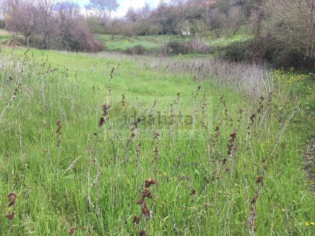 Terreno in vendita a Manocalzati, Campania