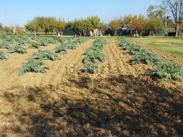 Terreno in vendita a Marche, Macerata