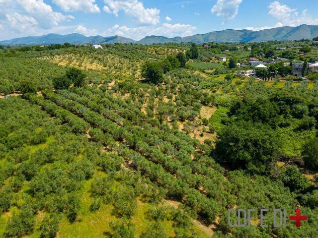 Terreno in vendita a Roma Capitale, Lazio