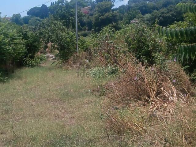 Terreno in vendita a Giarre, Sicilia