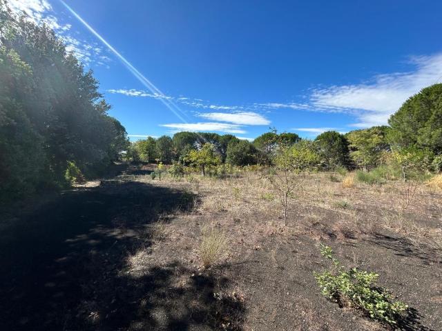 Terreno in vendita a Nicolosi, Sicilia