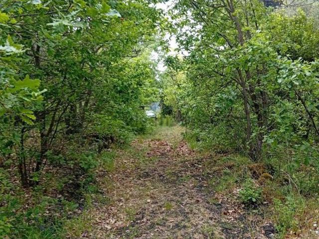 Terreno in vendita a Piedimonte Etneo, Sicilia