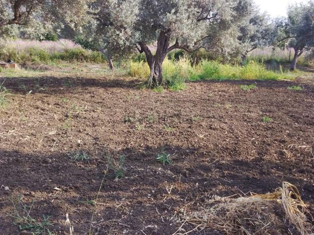 Terreno in vendita a Acquedolci, Sicilia