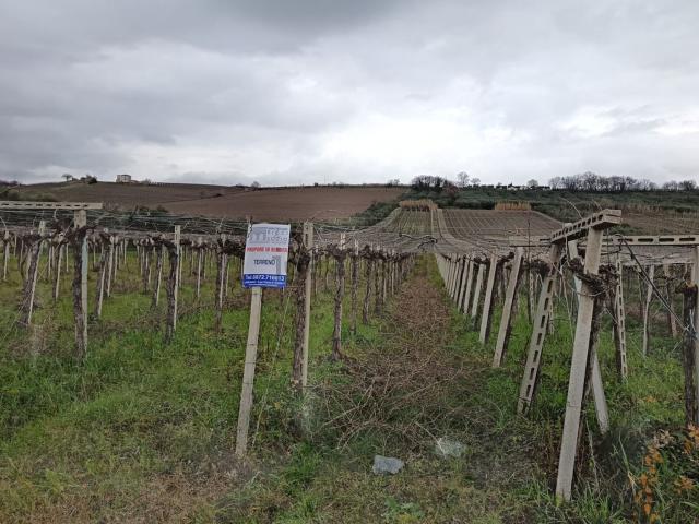 Terreno in vendita a Lanciano, Abruzzo