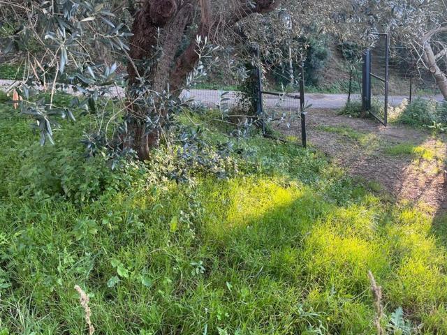 Terreno in vendita a Porto Azzurro, Toscana