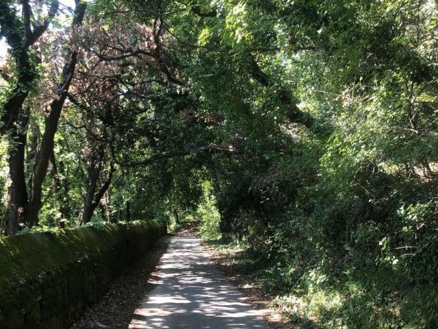 Terreno in vendita a Borgo Santo Stefano / Dolenja vas, Trieste