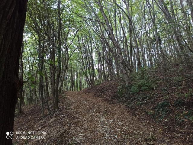 Terreno in vendita a Pieve del Grappa, Possagno